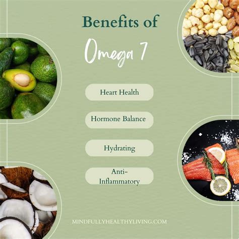 what is omega 9 benefits.